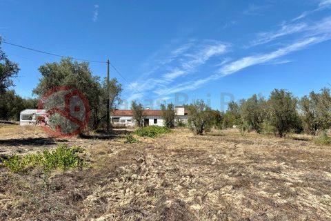 Farm i Couco, Santarem, Couco - € 199.000 | Ref: 4245JC4 - foto 4