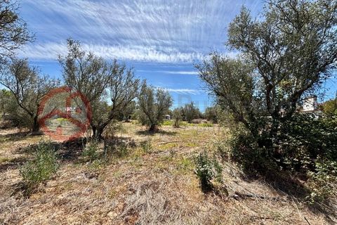 Farm i Couco, Santarem, Couco - € 199.000 | Ref: 4245JC4 - foto 5