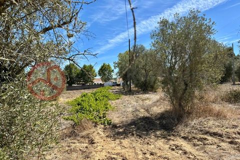 Farm i Couco, Santarem, Couco - € 199.000 | Ref: 4245JC4 - foto 8