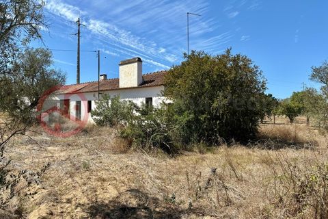 Farm i Couco, Santarem, Couco - € 199.000 | Ref: 4245JC4 - foto 1