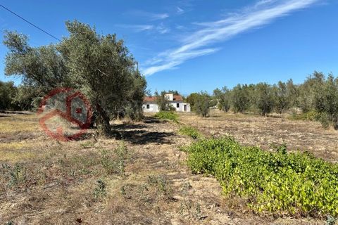 Farm i Couco, Santarem, Couco - € 199.000 | Ref: 4245JC4 - foto 10