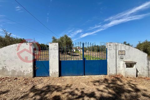 Farm i Couco, Santarem, Couco - € 199.000 | Ref: 4245JC4 - foto 11