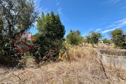 Farm i Couco, Santarem, Couco - € 199.000 | Ref: 4245JC4 - foto 14