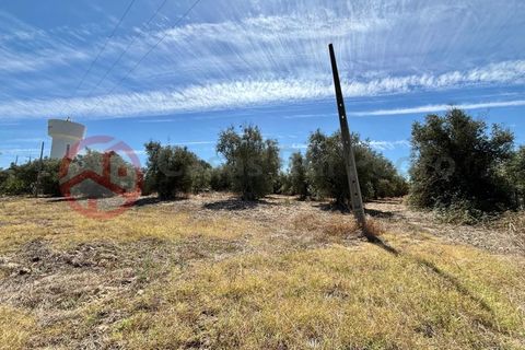 Farm i Couco, Santarem, Couco - € 199.000 | Ref: 4245JC4 - foto 15