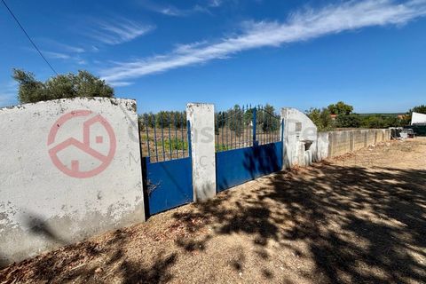 Farm i Couco, Santarem, Couco - € 199.000 | Ref: 4245JC4 - foto 16