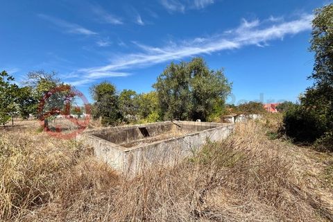 Farm i Couco, Santarem, Couco - € 199.000 | Ref: 4245JC4 - foto 18