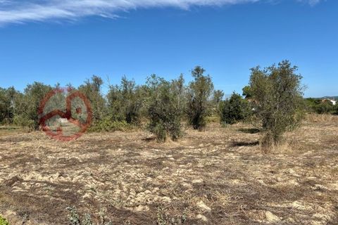Farm i Couco, Santarem, Couco - € 199.000 | Ref: 4245JC4 - foto 20