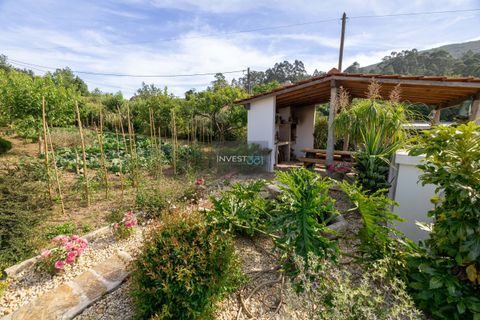 Villa i Venade e Azevedo, Viana do Castelo, Venade e Azevedo - € 600.000 | Ref: 553 - Prop. com 2 casas - Caminha - foto 9