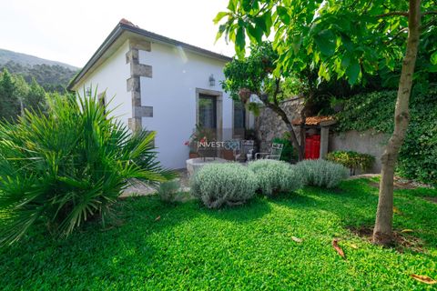 Villa i Venade e Azevedo, Viana do Castelo, Venade e Azevedo - € 600 000 | Ref: 553 - Prop. com 2 casas  - Caminha - foto 13