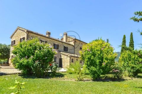Villa a Treia, Macerata, Treia - € 1.650.000 | Ref: 85063448 - foto 9