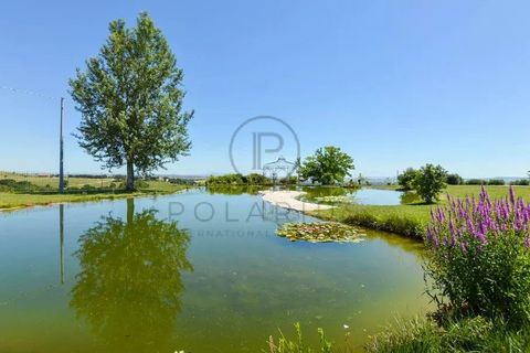 Villa a Treia, Macerata, Treia - € 1.650.000 | Ref: 85063448 - foto 35