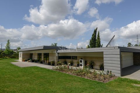 Villa i Valongo, Porto, Valongo - € 1.300.000 | Ref: 005/25 - foto 5
