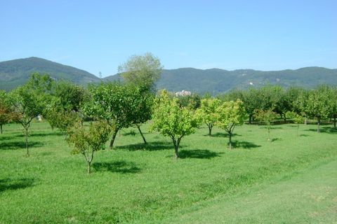 Villa a Ameglia, La Spezia, Ameglia - € 2.300.000 | Ref: 3027 - foto 9