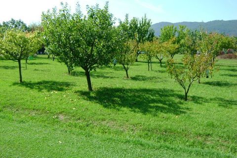 Villa a Ameglia, La Spezia, Ameglia - € 2.300.000 | Ref: 3027 - foto 10