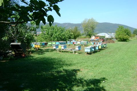 Villa a Ameglia, La Spezia, Ameglia - € 2.300.000 | Ref: 3027 - foto 13