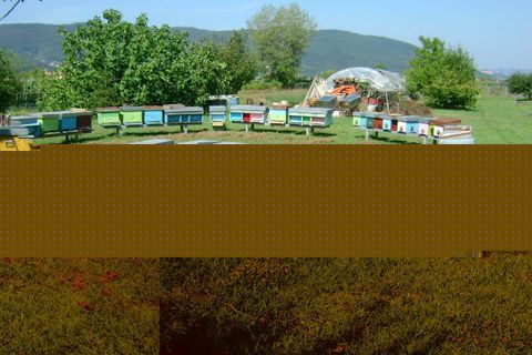 Villa a Ameglia, La Spezia, Ameglia - € 2.300.000 | Ref: 3027 - foto 14