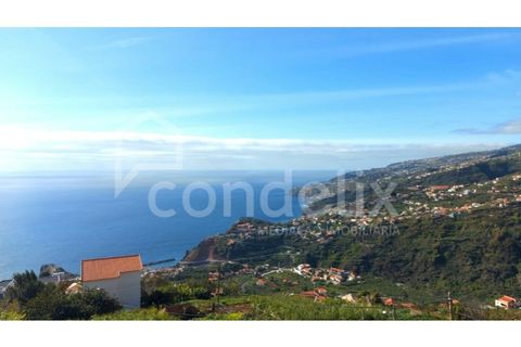 Villa i Ribeira Brava, Madeira, Ribeira Brava - € 295.000 | Ref: 100724 - foto 4