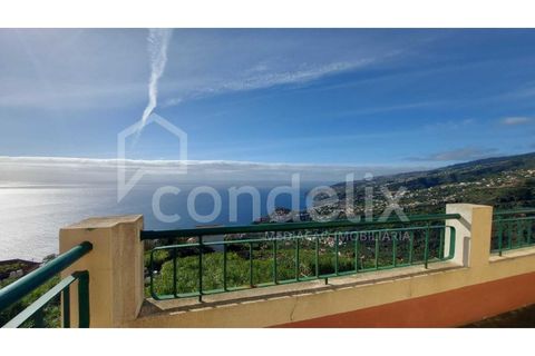 Villa i Ribeira Brava, Madeira, Ribeira Brava - € 295.000 | Ref: 100724 - foto 11