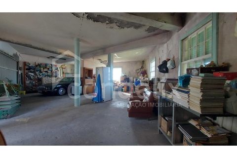 Villa i Ribeira Brava, Madeira, Ribeira Brava - € 295.000 | Ref: 100724 - foto 25