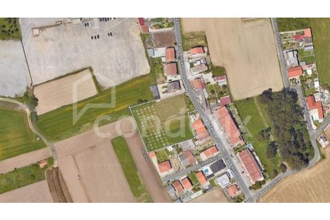 Helårsgrund i Lavra, Porto, Lavra - € 420.000 | Ref: 100621 - foto 3