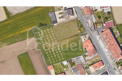 Helårsgrund i Lavra, Porto, Lavra - € 420.000 | Ref: 100621 - foto 7