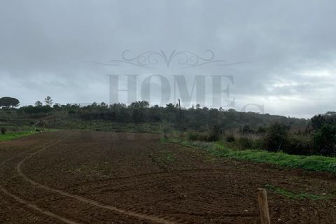 Villa i Aljezur, Faro, Aljezur - € 960.000 | Ref: HT_10941 - foto 11