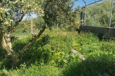 Byhus i Camarate, Lisbon, Camarate - € 680.000 | Ref: AP13.196 - foto 8