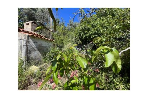 Helårsgrund i Matacaes, Lisbon, Matacaes - € 74.900 | Ref: AP13.079 - foto 8