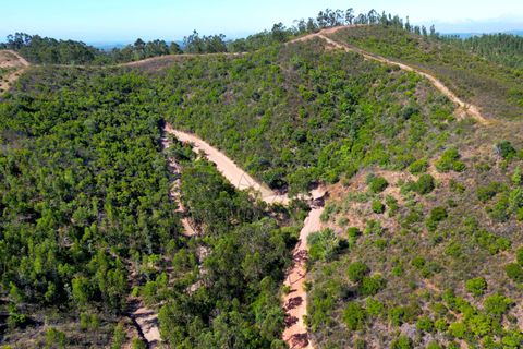 Helårsgrund i Monchique, Faro, Monchique - € 50.000 | Ref: CM013 MA - foto 14