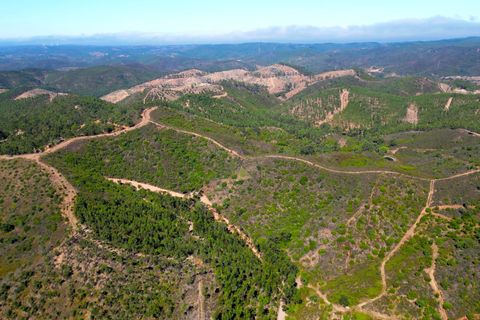 Helårsgrund i Monchique, Faro, Monchique - € 50.000 | Ref: CM013 MA - foto 17