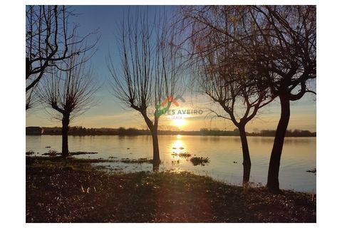 Erhvervsejendom i Agueda, Aveiro, Agueda - € 800.000 | Ref: 6332 - foto 7