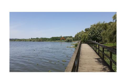Erhvervsejendom i Agueda, Aveiro, Agueda - € 800.000 | Ref: 6332 - foto 13
