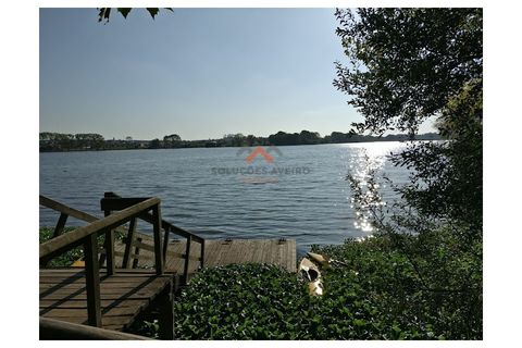 Erhvervsejendom i Agueda, Aveiro, Agueda - € 800.000 | Ref: 6332 - foto 14