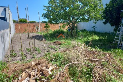 Helårsgrund i Aveiro, Aveiro, Aveiro - € 92.500 | Ref: 6179 - foto 2