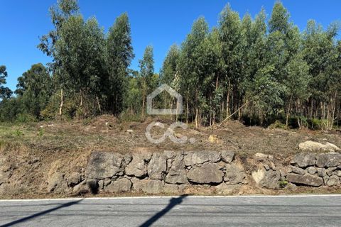 Helårsgrund i Lousada, Porto, Lousada - € 2.000.000 | Ref: 365/T/02910 - foto 2