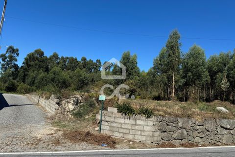 Helårsgrund i Lousada, Porto, Lousada - € 2.000.000 | Ref: 365/T/02910 - foto 3