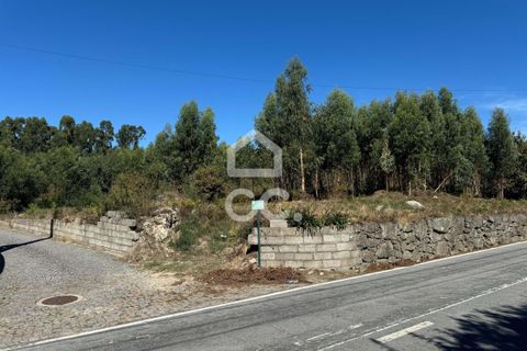 Helårsgrund i Lousada, Porto, Lousada - € 2.000.000 | Ref: 365/T/02910 - foto 4