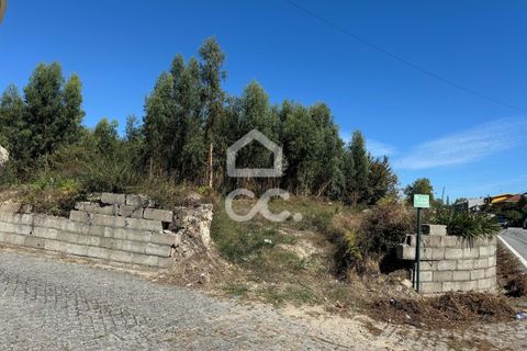 Helårsgrund i Lousada, Porto, Lousada - € 2.000.000 | Ref: 365/T/02910 - foto 5
