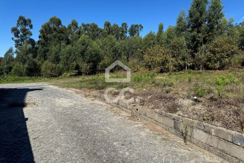 Helårsgrund i Lousada, Porto, Lousada - € 2.000.000 | Ref: 365/T/02910 - foto 6