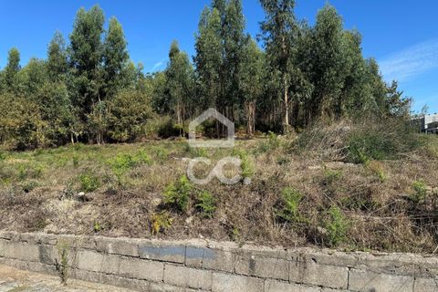 Helårsgrund i Lousada, Porto, Lousada - € 2.000.000 | Ref: 365/T/02910 - foto 7