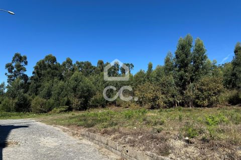 Helårsgrund i Lousada, Porto, Lousada - € 2.000.000 | Ref: 365/T/02910 - foto 8