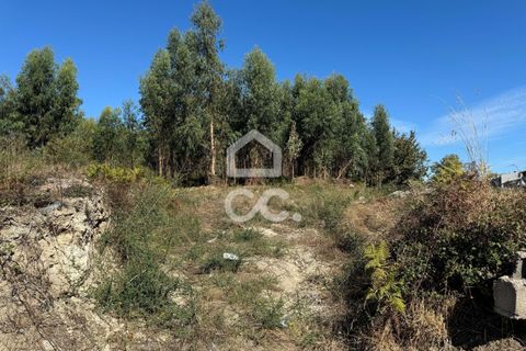 Helårsgrund i Lousada, Porto, Lousada - € 2.000.000 | Ref: 365/T/02910 - foto 9