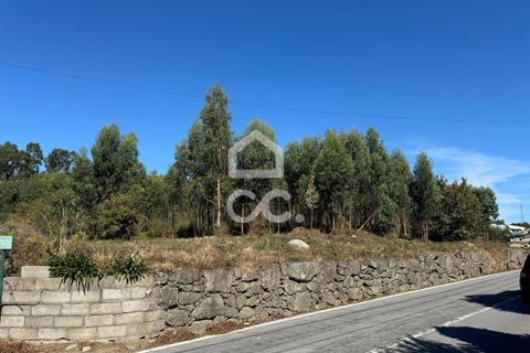 Helårsgrund i Lousada, Porto, Lousada - € 2.000.000 | Ref: 365/T/02910 - foto 10