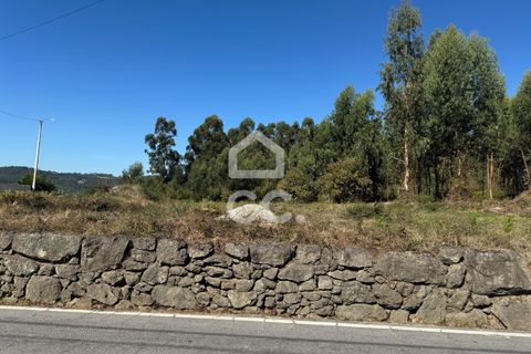 Helårsgrund i Lousada, Porto, Lousada - € 2.000.000 | Ref: 365/T/02910 - foto 11