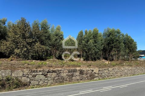 Helårsgrund i Lousada, Porto, Lousada - € 2.000.000 | Ref: 365/T/02910 - foto 12