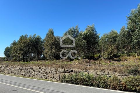 Helårsgrund i Lousada, Porto, Lousada - € 2.000.000 | Ref: 365/T/02910 - foto 13
