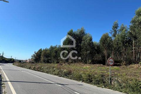 Helårsgrund i Lousada, Porto, Lousada - € 2.000.000 | Ref: 365/T/02910 - foto 14