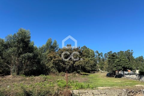 Helårsgrund i Lousada, Porto, Lousada - € 2.000.000 | Ref: 365/T/02910 - foto 15