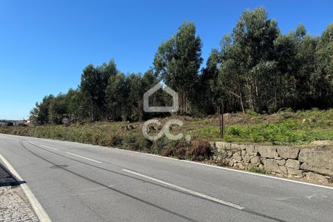 Helårsgrund i Lousada, Porto, Lousada - € 2.000.000 | Ref: 365/T/02910 - foto 16