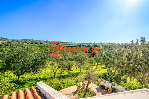 Farm i Estoi, Faro, Estoi - € 1.600.000 | Ref: 3601560 - foto 7